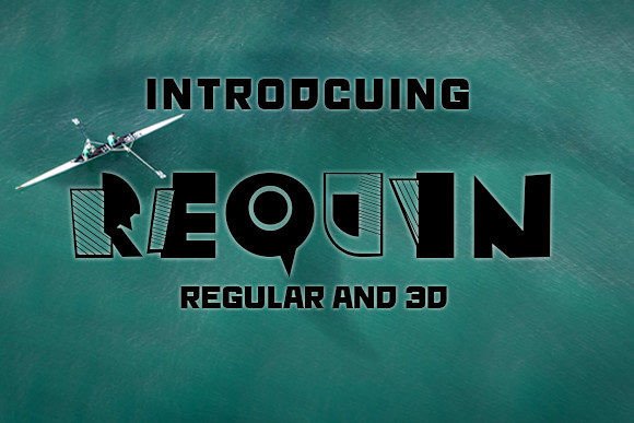 How the Requin Font Changed My Entire Brand Experience